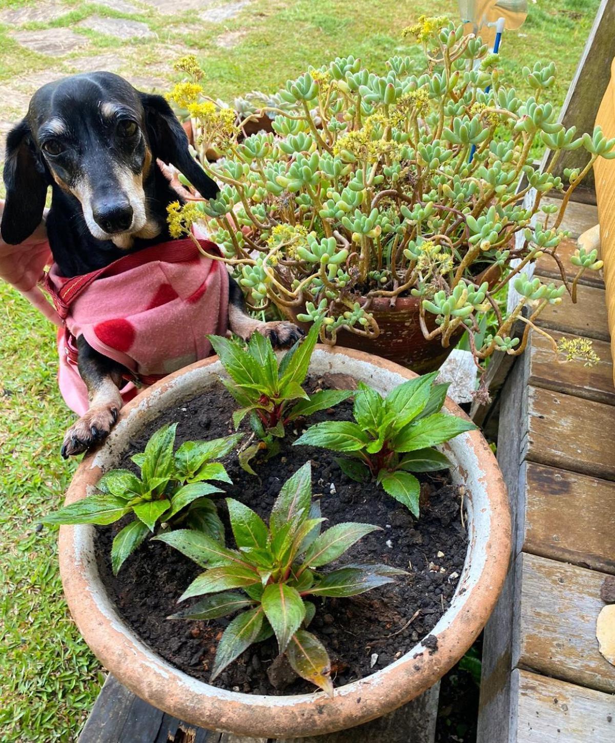 Pousada Confraria Da Terra กังโปสดูจอร์เดา ภายนอก รูปภาพ